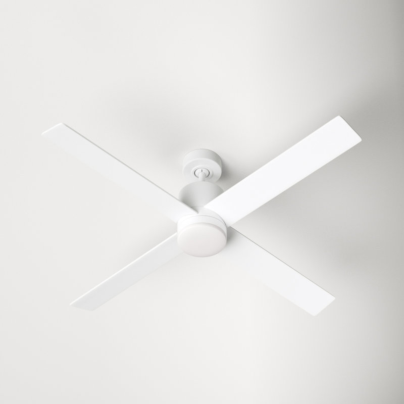AllModern Cairns 52'' Ceiling Fan with LED Lights & Reviews Wayfair